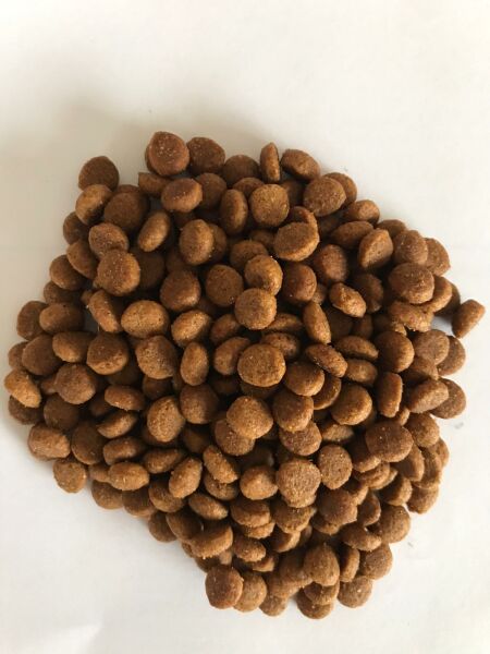 GODLİFE TAVUKLU YETİŞKİN KEDİ MAMASI 1 KG
